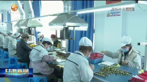 甘肅打好特色牌 助力民族地區書寫致富奔小康精彩答卷